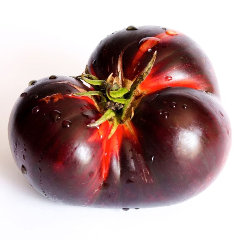 black krim